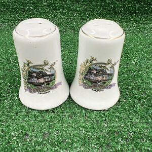 Vintage Arkansas Ceramic‎ Salt & Pepper Shakers White With Art